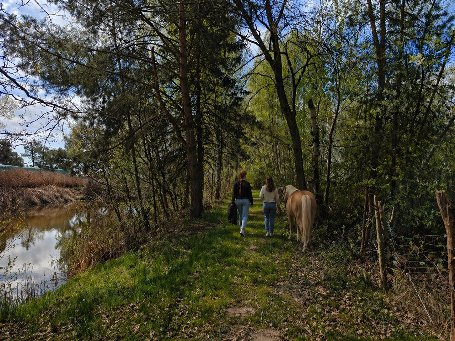 Begleitung mit einem Pferd am See